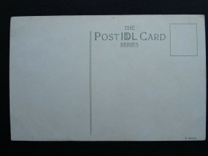 Isle of Wight 6 x SHANKLIN CHINE Collection c1910 to 1950s Postcards