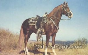 Hoss Horse Unused 