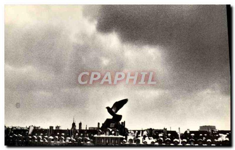 Modern Postcard Paris Venezia Place des Vosges Pigeon