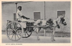 Barbados Native Carter Man with Horse Cart Vintage Postcard AA51127