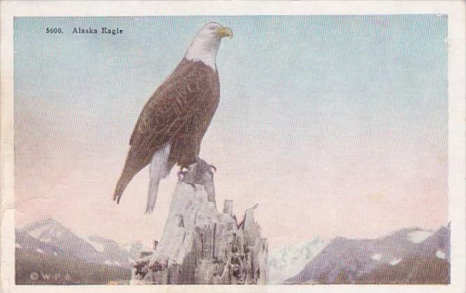 Alaska American Eagle