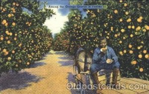 Orange groves in Florida, USA Black Unused 