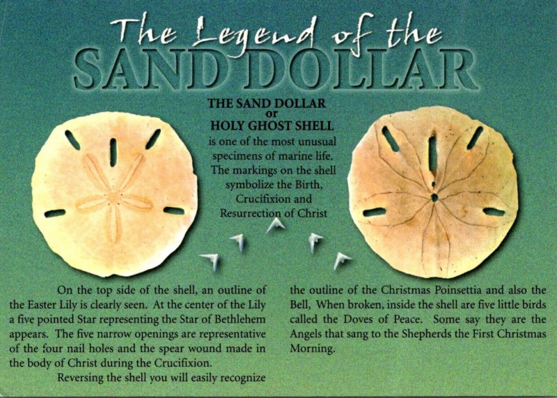 Story of the Sand Dollar