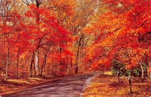 Unidentified View Postcard