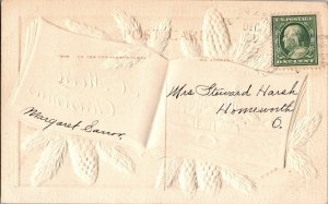 MERRY CHRISTMAS c1910 Embossed Airbrushed Postcard Open Book Pine Cones KJ9