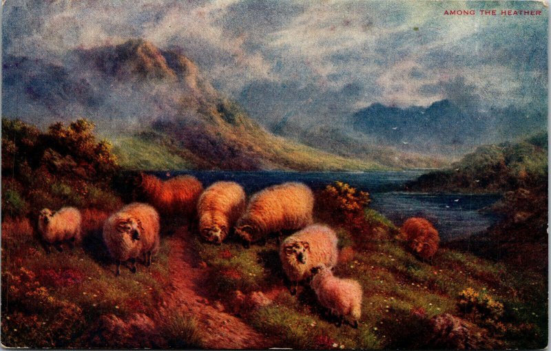 Vtg 1910s Sheep Among the Heather from the painting by JW Crane Art Postcard