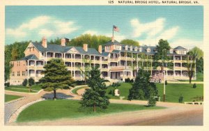 Vintage Postcard The Natural Bridge Hotel Rockbridge County West Blue Ridge VA