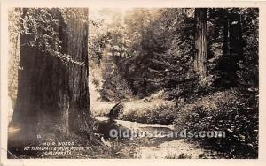 Muir Woods, Mt Tamalpais, real photo Muir Woods National Monument, California...