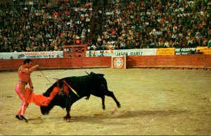 Old Mexico Juares Bull Ring The Kill