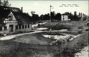Reed City Michigan MI State Fish Ponds c1910 Vintage Postcard
