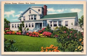Chester New Jersey 1940s Linen Postcard Melrose Farms House
