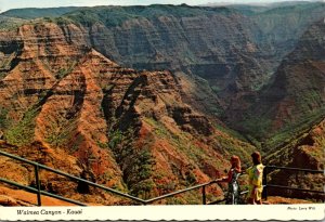 Hawaii Kauai Waimea Canyon