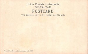 L256 Gibraltar The Town from the South. vintage postcard