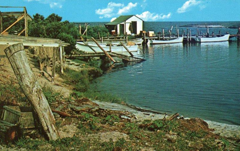 The Outer Banks of North Carolina