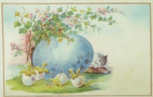 1880's Lovely Easter Egg Baby Birds Hatching Cat Victorian Trade Card &S