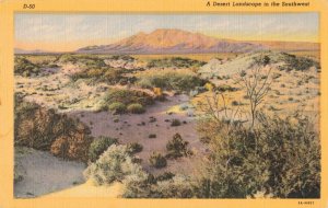 Desert Landscape of Southwest c.1930's Postcard 2T5-587