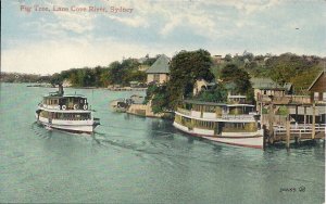 Sydney AUSTRALIA, NSW, Scene at Fig Tree, Lane Cove River, Steam Boats 1910