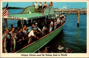 Florida Miami Hungry Pelicans Awaiting The Fishing Boats 1965