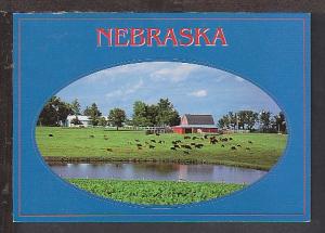 Nebraska Postcard BIN 