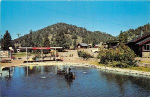 Bridgeport California 1960s Postcard Willow Springs Motel & Trailer Park