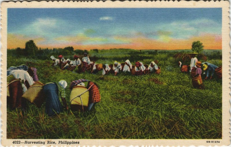PC PHILIPPINES, HARVESTING RICE, Vintage Postcard (b38966)