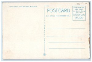 View Of South Cedar Street Tree-lined Owatonna Minnesota MN Vintage Postcard