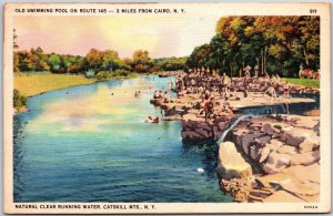 1939 Old Swimming Pool Clear Running Water Catskill Mts New York Posted Postcard