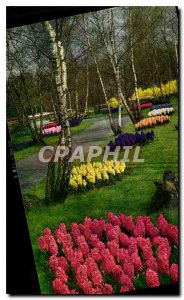 Modern Postcard Keukenhof Lisse Holland