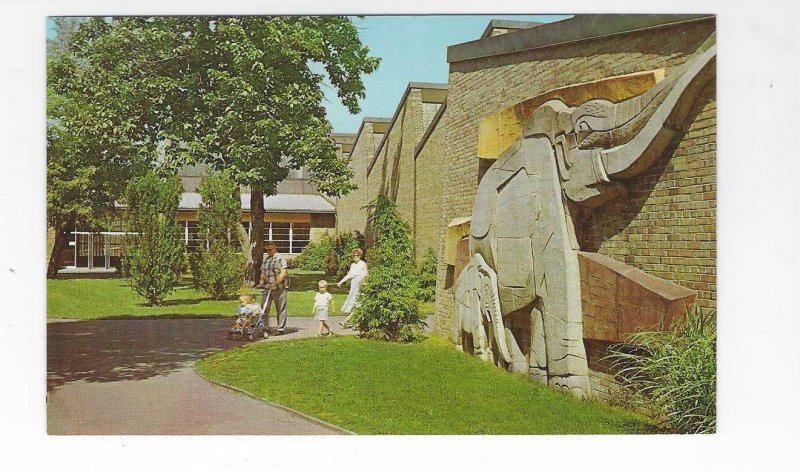 Vtg 1960's Cleveland Zoo, Cleveland, Ohio Postcard