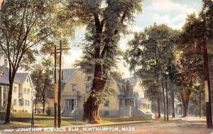 Jonathan Edwards Elm in Northampton, Massachusetts