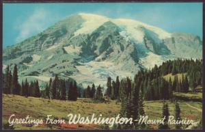 Greetings From Washington,Mt Rainier Postcard