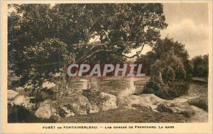 Postcard Old Forest of Fontainebleau Gorges Franchard Mare