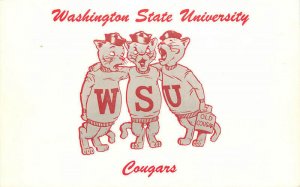 Washington WSU Campus Cougar Mascot artist impression RPPC Postcard 22-10045