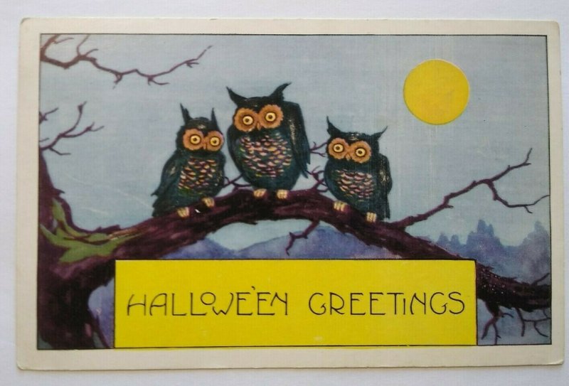 Vintage Halloween Postcard Whitney 3 Owls On Branch Original Embossed Unused