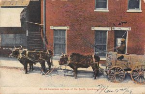 Lynchburg Virginia Old Horeless Carriage Bull Vintage Postcard JF235012