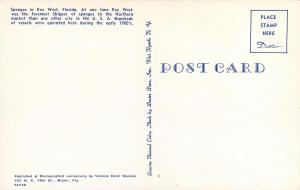 Natural Florida Sponge Co. Postcard FL William Spencer Key West Postcard