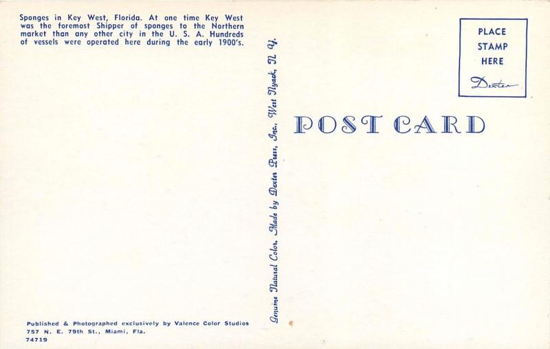 Natural Florida Sponge Co. Postcard FL William Spencer Key West Postcard