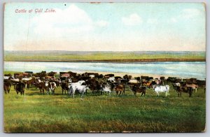 Cattle At Gull Lake Saskatchewan Canada UNP Unused DB Postcard E14