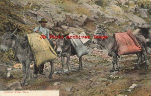 Arizona Water Train, Donkey Carrying Water to the Mines, Newman No A.R. 9