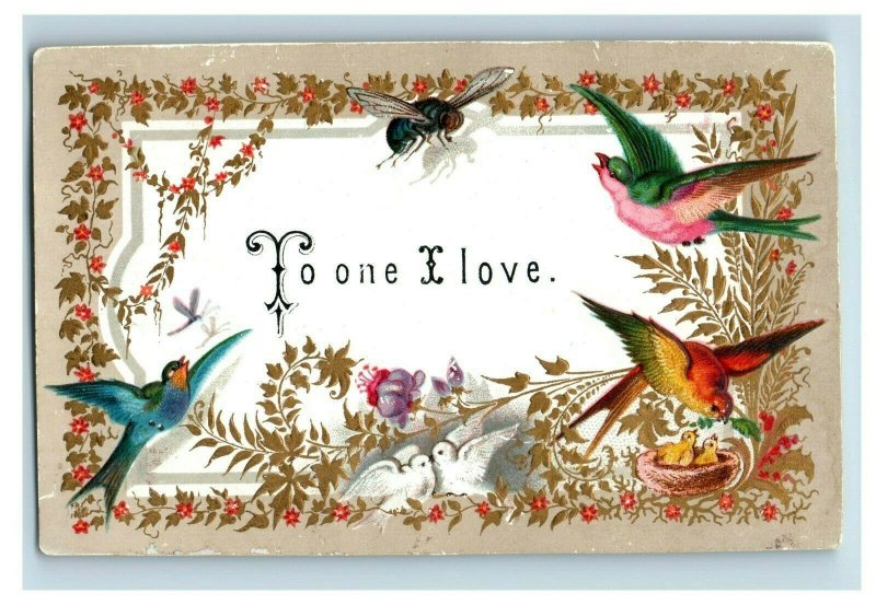 1870's-80's Embossed Holiday Cards Exotic Colorful Birds Lot Of 4 P198