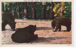 US    PC5495 BEARS