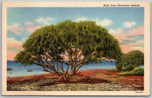 Hawaiian Islands 1940s Postcard Hala Tree