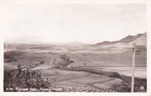 Hawaiian Islands Pineapple Fields Real Photo