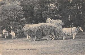 Bad Nauheim Germany Hay Cart Kurpark Scenic View Antique Postcard J67055