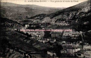 Amelie les Bains - Vue Generale and Route Ceret - Old Postcard