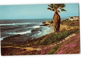 La Jolla California CA Vintage Postcard Along the Shore