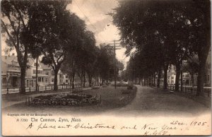View of the Common, Lynn MA c1905 Undivided Back Vintage Postcard O43