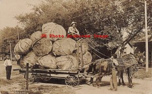 Exaggeration, RPPC, WH Martin, Farmer with Wagon of Cabbage