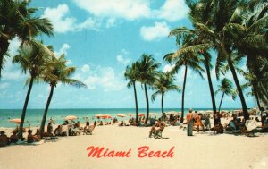 Vintage Postcard Famous Beach Sun Basking Bathing Miami Beach Florida Fla.