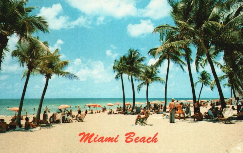Vintage Postcard Famous Beach Sun Basking Bathing Miami Beach Florida Fla.